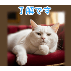 [了解です専用]おでぶ猫