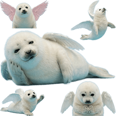 BIG! 羽の生えたアザラシの赤ちゃん