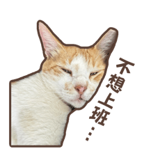 Mimi Loves Work (dark)