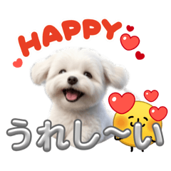 ぽんちゃんのつぶやき