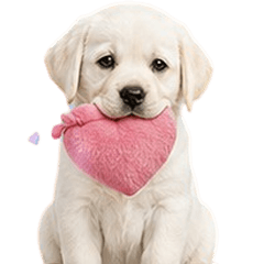 MooToon Funny Labrador V.3