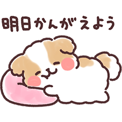 ふわふわシーズー おおらかにいこう