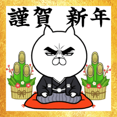 目ヂカラ☆にゃんこ【お正月・年末年始】