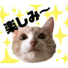 あかふく と きなこぼう・2