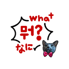 Rookii's Questions???