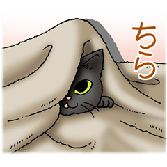 ネコ大好き！その14B(黒猫）