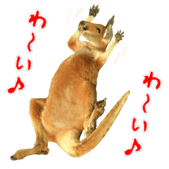 ほほえみフレンズ！カンガルーの日常