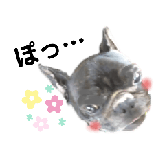 ブリンドルかのんvol.4