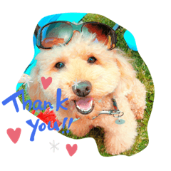 我が家のマッチ