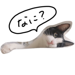 ありすとおはぎ