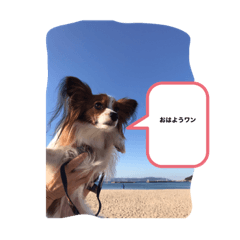 わんこちゃんたちワンワンワン