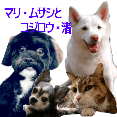 マリ・ムサシとコジロウ・渚