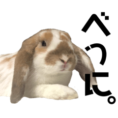 うさぎのこてつくん2