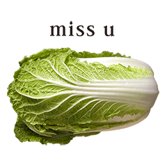 白菜 と 英語 English