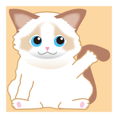 おとぼけラグドール