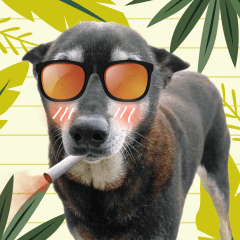 Smoking dog(01)