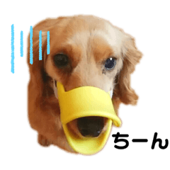 きなこといっしょ！