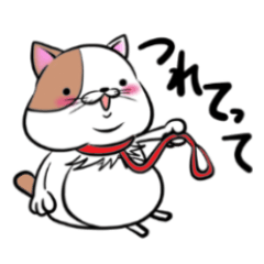 ゆるデブ　タボさん