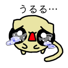 まるどう　まるねこ