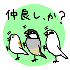 仲良し??? 三羽の鳥