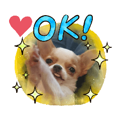 マメムギの日常スタンプ⭐