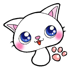 きのこ？ねこ？【きねこ】！