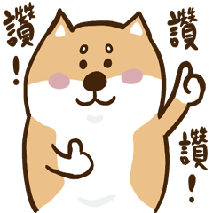 柴犬ぶぶは友達と新年を祝う