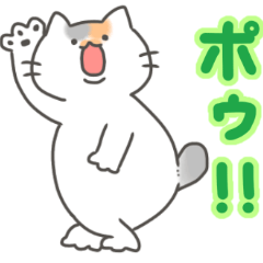 ウザかわ猫ぷくちゃん