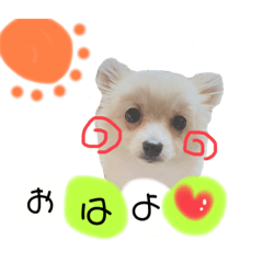 鈴木家の小次郎くん