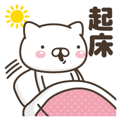 飛び出す! 週刊ねここ(大人女子)