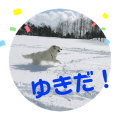 メリメリメリー126