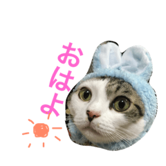 毛玉きょうだいのスタンプ 1