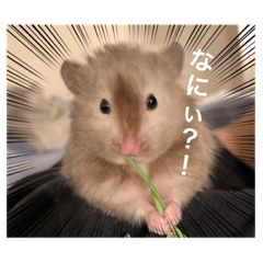 まさ吉のスタンプ