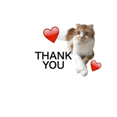 色んなパターンスタンプ！