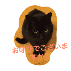 クーアンドムー