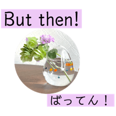 英語と佐賀弁と薔薇と緑