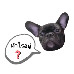 Tuntun_20210620025456