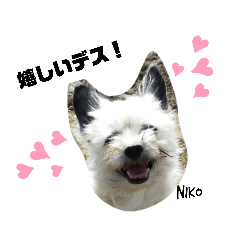 ミックス犬４兄弟　ウキウキスタンプ