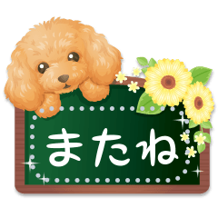 メッセージ毎日使える♡大人可愛いスタンプ