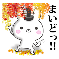 京都うさぎ 5 (秋の京都編)