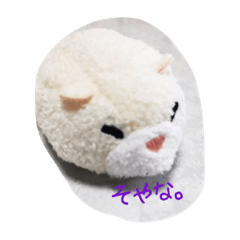 ハムスターから３文字メッセージ