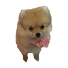 rikiya_20210820131555