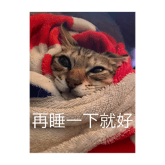 Yi Ting_20211118142216