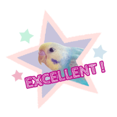 かわいい小鳥スタンプ・空色インコ