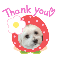 りんちゃんのかわいいスタンプ 日常編