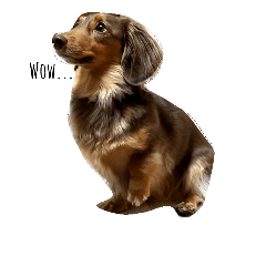 愛犬チョコのスターンプ