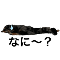 ビビの日常part①