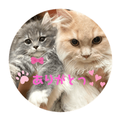 ロイロアマロのスタンプ