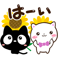 クロネコ☆シロネコすたんぷ【夏】