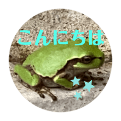 門灯のカエルと日常の景色